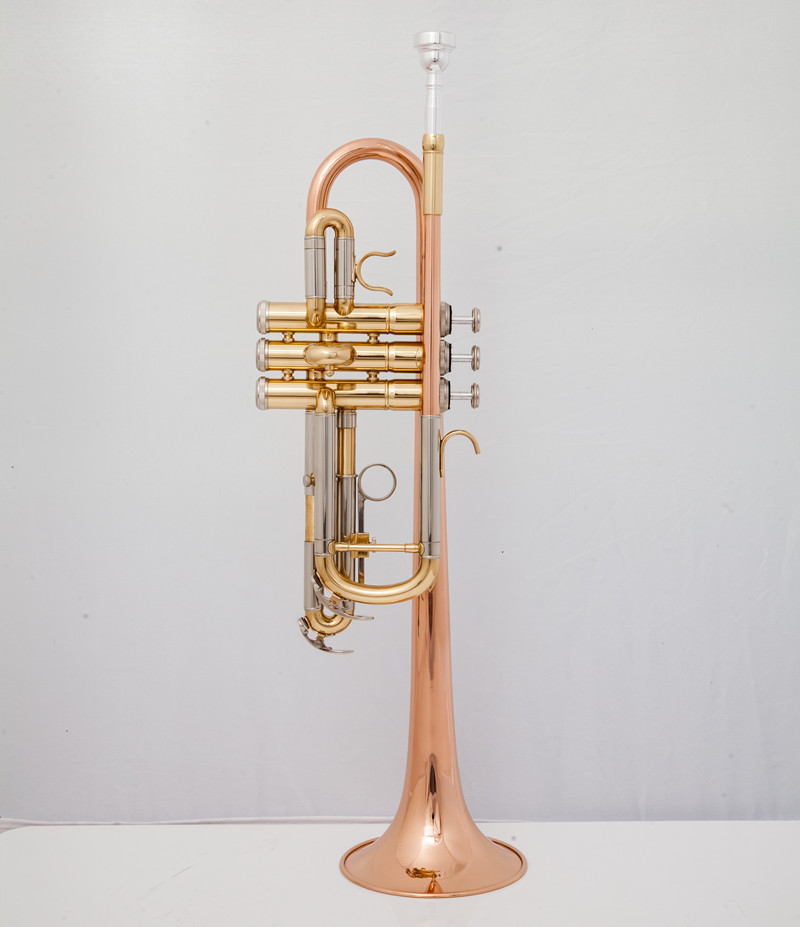 Musical Instrument Fagot - Trompette professionnelle C, Instruments de musique,